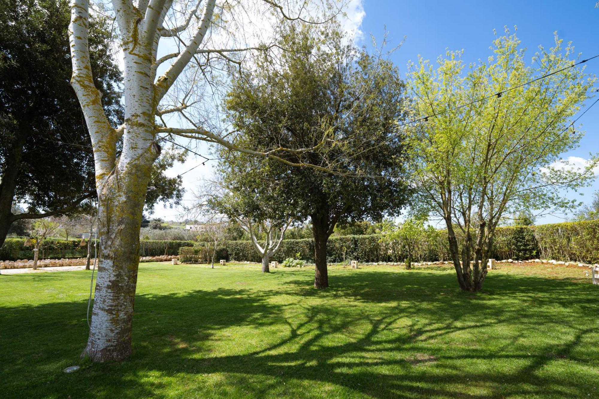 Masseria San Michele Мартина-Франка Экстерьер фото