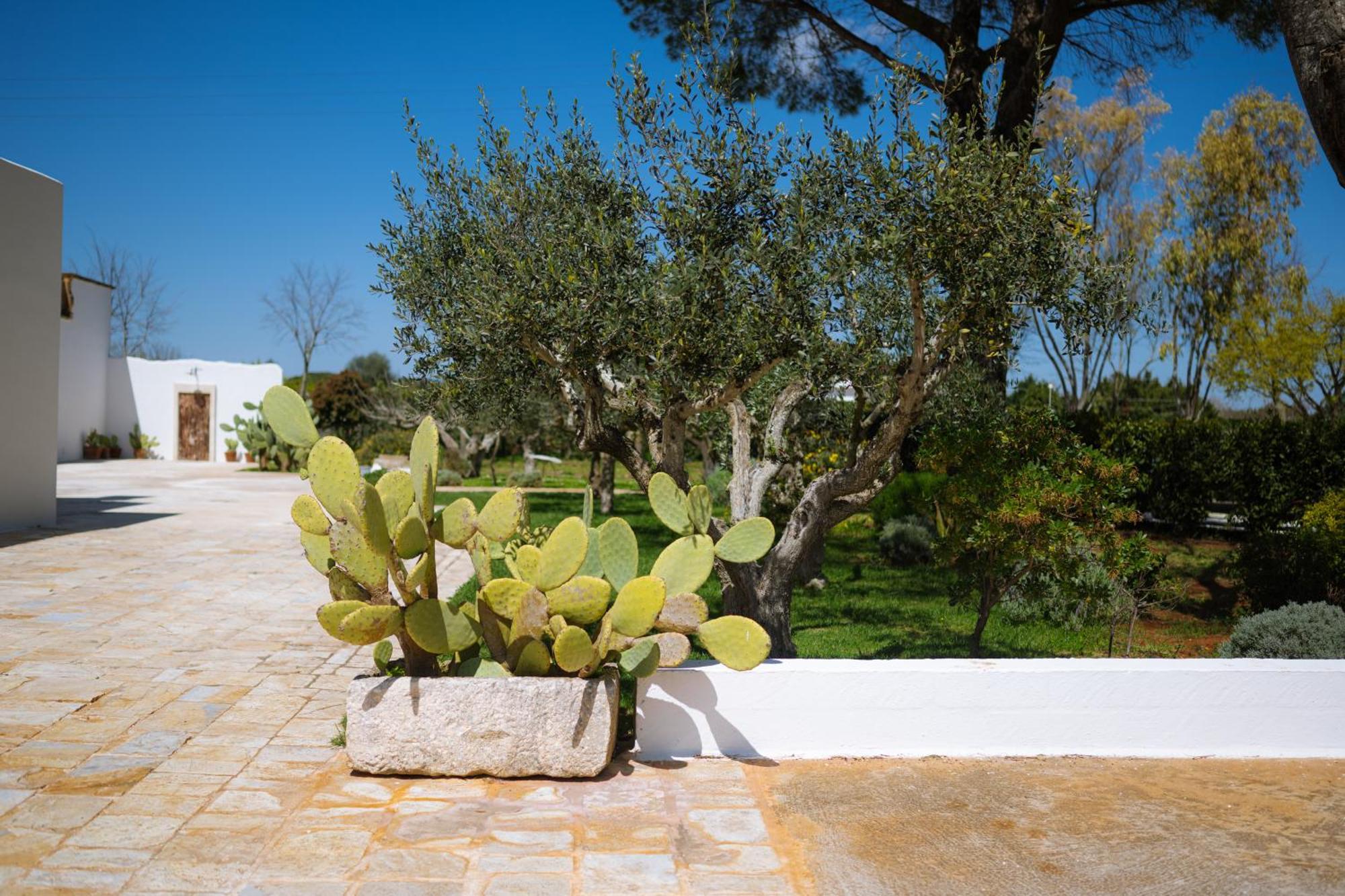 Masseria San Michele Мартина-Франка Экстерьер фото